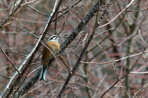 DSC_1906.jpg