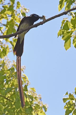 DSC_1920.jpg