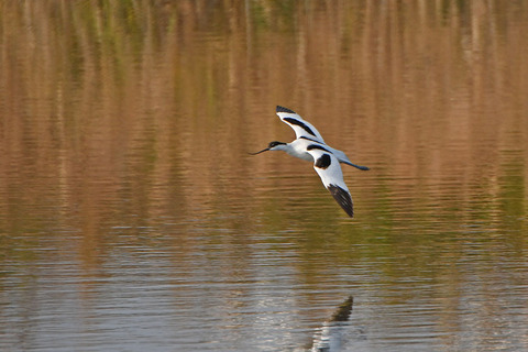 DSC_1928.jpg