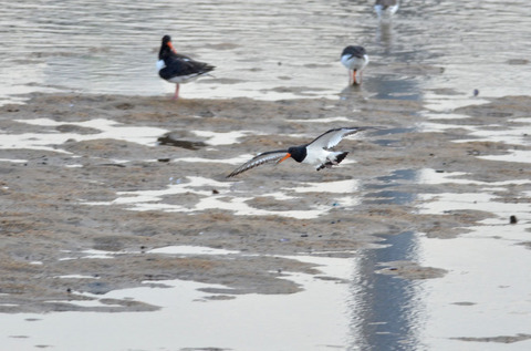 DSC_1928.jpg