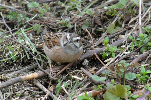 DSC_1939.jpg