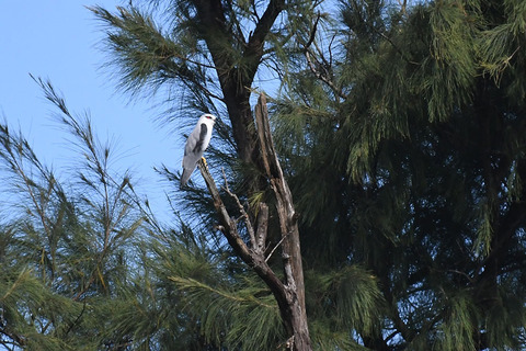 DSC_1942.jpg