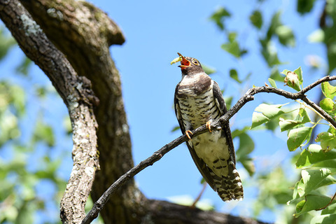 DSC_1943.jpg