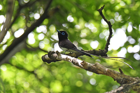 DSC_1955.jpg