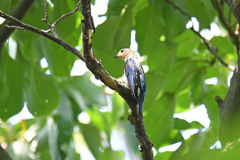 DSC_1995.jpg