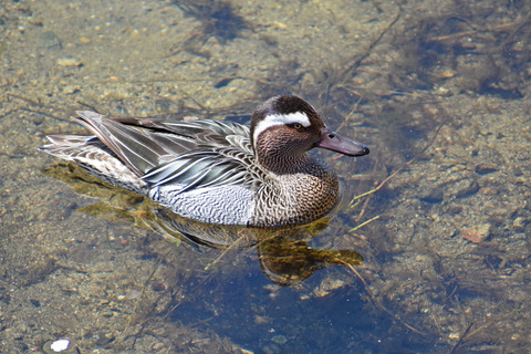DSC_2014.jpg