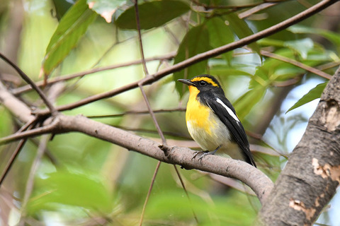 DSC_2017.jpg