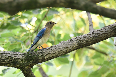 DSC_2034.jpg