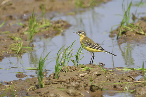 DSC_2047.jpg