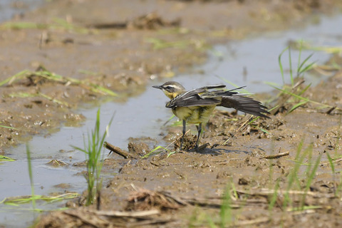 DSC_2054.jpg