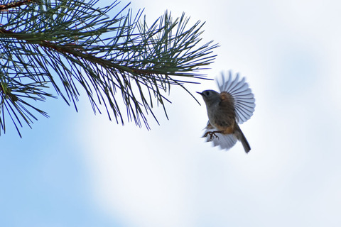 DSC_2057.jpg