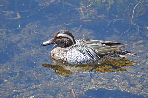 DSC_2060.jpg