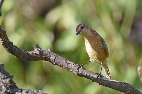 DSC_2069.jpg