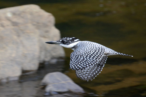 DSC_2071.jpg