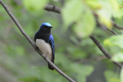 DSC_2134.jpg