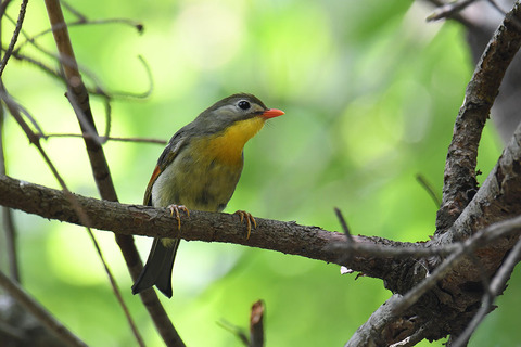 DSC_2136.jpg
