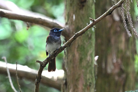 DSC_2142.jpg