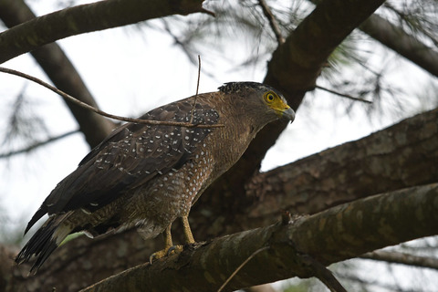 DSC_2144.jpg