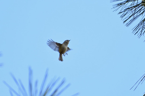 DSC_2151.jpg