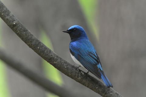 DSC_2159.jpg