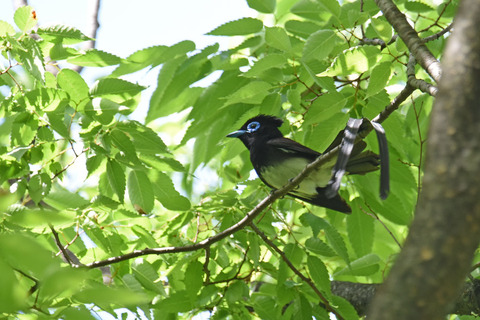 DSC_2269.jpg