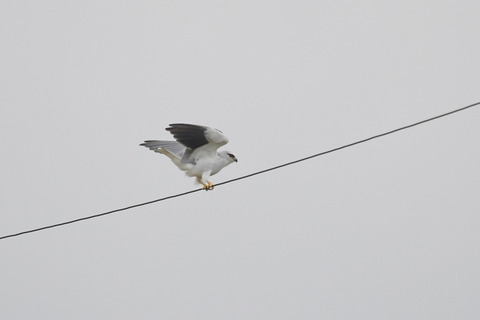 DSC_2308.jpg