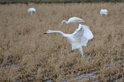 DSC_2318.jpg