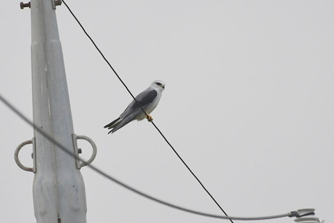 DSC_2329.jpg