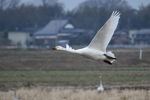 DSC_2336.jpg