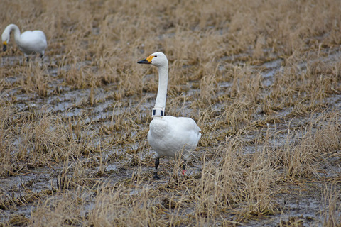 DSC_2345.jpg