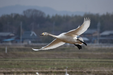 DSC_2356.jpg