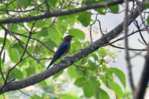 DSC_2357.jpg