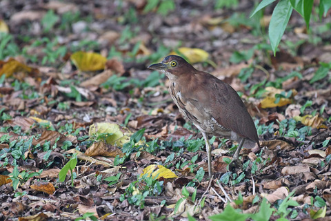 DSC_2399.jpg