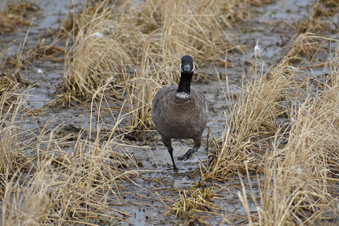DSC_2414.jpg