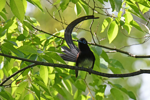 DSC_2431.jpg