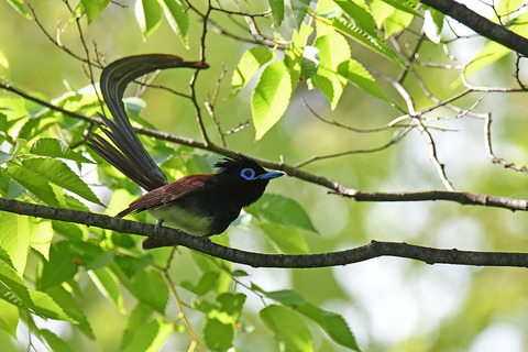 DSC_2444.jpg