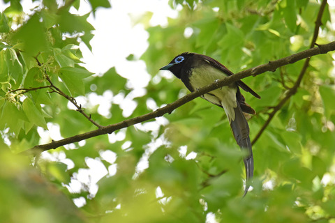 DSC_2449.jpg