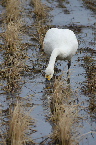 DSC_2475.jpg