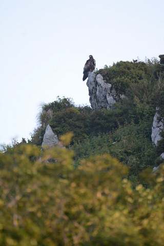 DSC_2571.jpg