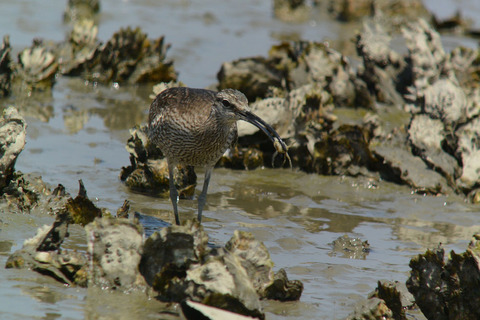 DSC_2634.jpg