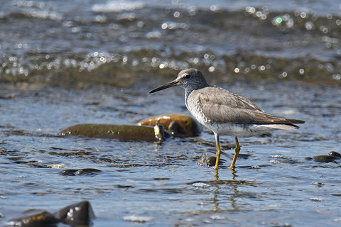 DSC_2670.jpg