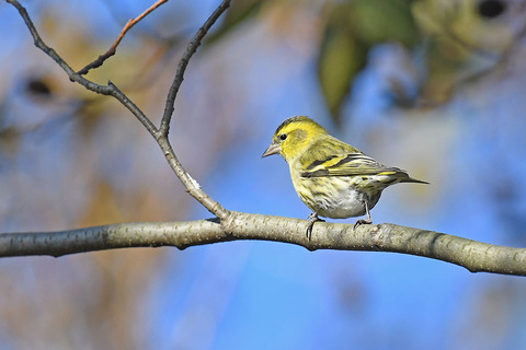 DSC_2714.jpg