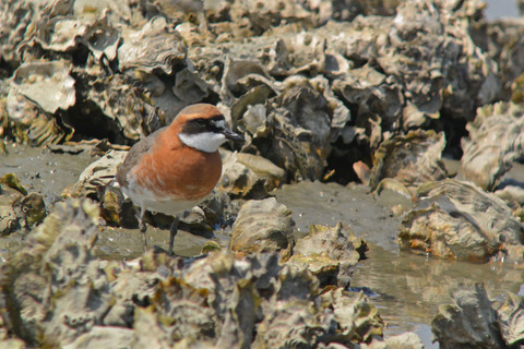 DSC_2749.jpg