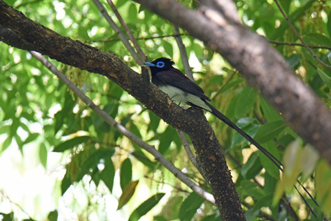 DSC_2757.jpg