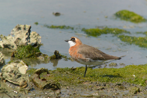 DSC_2778.jpg