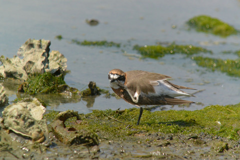 DSC_2779.jpg