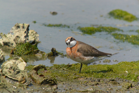DSC_2792.jpg
