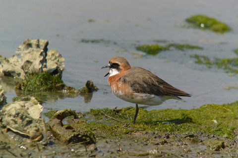 DSC_2807.jpg