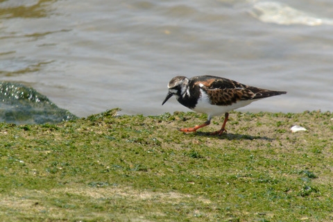 DSC_2822.jpg