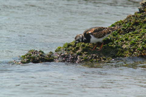 DSC_2848.jpg